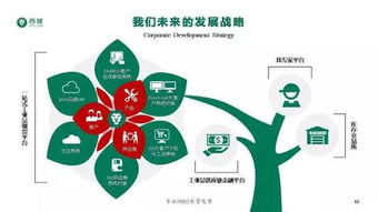 西域入選2017年度上海市電子商務(wù) 雙推 企業(yè)